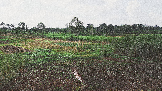 Eastern Uganda fieldwork